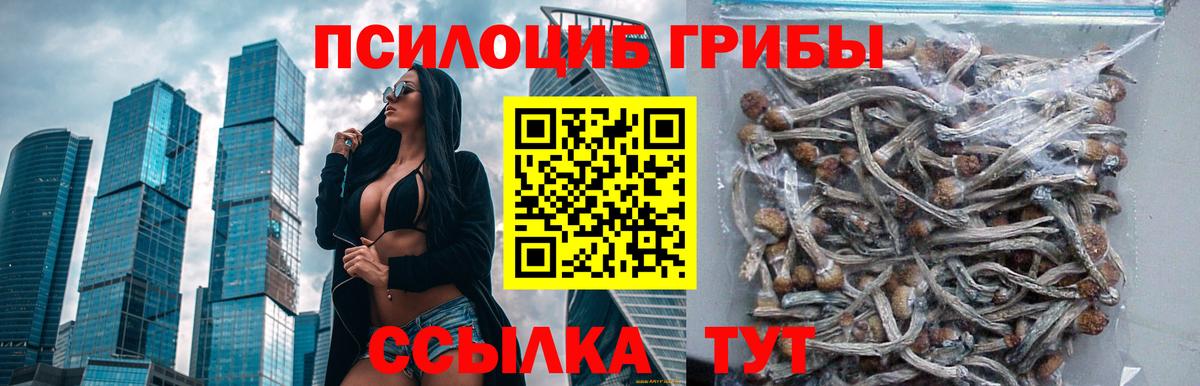 Галлюциногенные грибы Magic Shrooms  Псилоцибиновые грибы MAGIC MUSHROOMS  Гусиноозёрск  Вход с VPN 