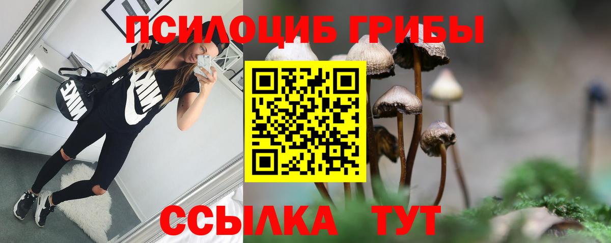 Псилоцибиновые грибы ЛСД Гусиноозёрск